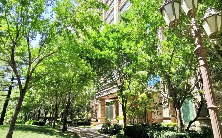 朝阳区 霄云路8号院4号楼23层1单元2302室（霄云路8号）