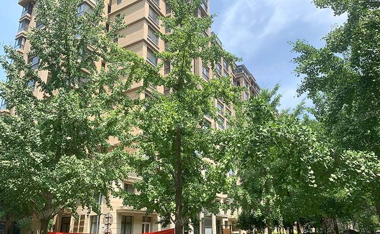 丰台区 紫芳园六区1号楼10层4单元1101（方庄六号）