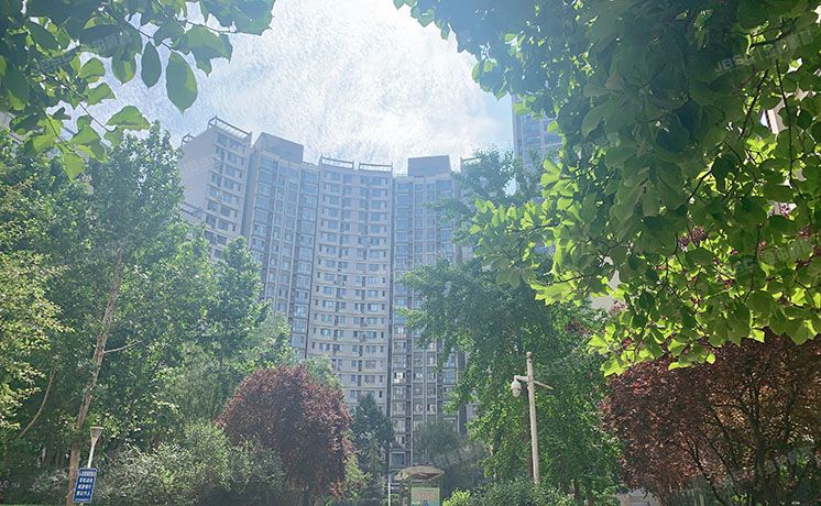 朝阳区 八里庄西里62号楼7层706号（远洋天地）