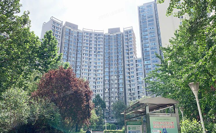 朝阳区 八里庄西里62号楼7层706号（远洋天地）