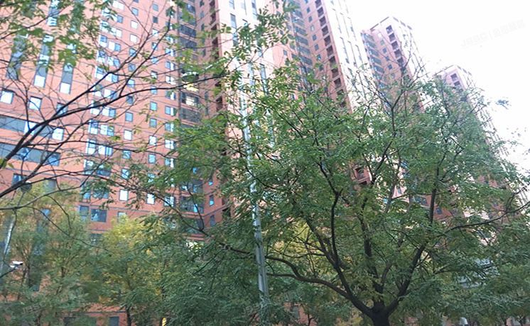 东城区 广渠家园17号楼22层3单元2602室（冠城名敦道）