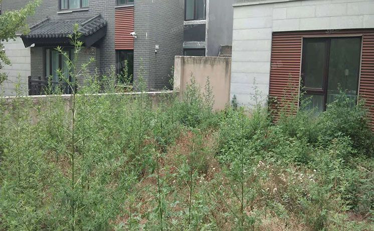 昌平区 南口路30号院三区63号楼-1至2层（北京湾）独栋