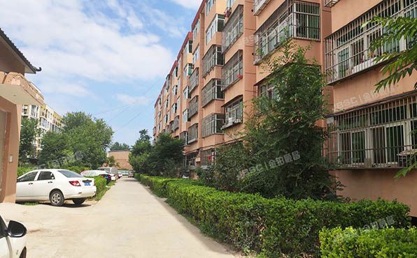 平谷区 平谷镇园丁小区17号楼5层（4）-501（园丁小区）