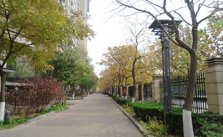 朝阳区 清林路1号院6号楼10层5单元1103（世茂奥临花园）