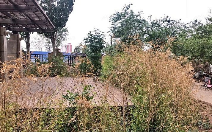 通州区 龙旺西里100号楼6层1单元608（k2清水湾）