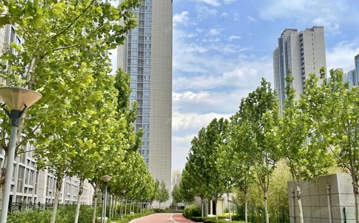 通州区 芙蓉园287号楼2层1单元204（京贸国际城）