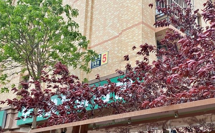 大兴区 圣和巷8号院5号楼4层430（东亚马赛公馆）办公