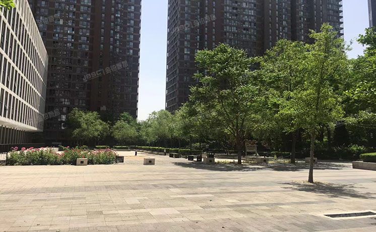 朝阳区 阜荣街15号院1号楼3层5单元303（嘉美风尚中心）