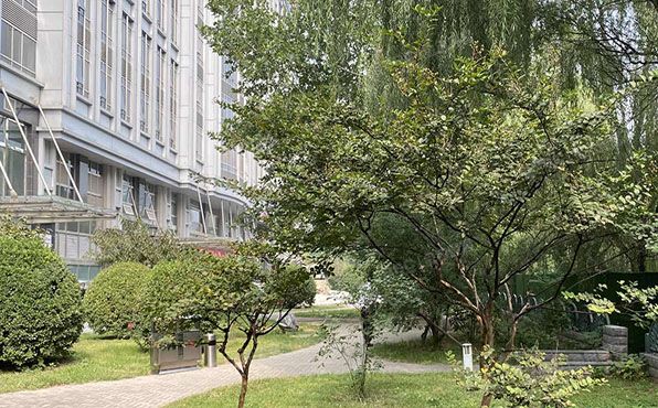 东城区 东直门外小街甲2号12层A座1205（正东国际）公寓