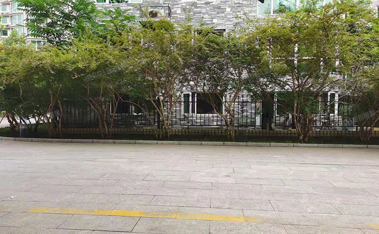 海淀区 蓝靛厂春荫园1号楼1层3单元1E号（春荫园）