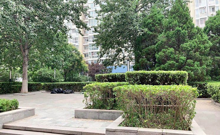 朝阳区 北苑路86号院嘉铭园一区7号楼4层6门401号（嘉铭桐城B区）