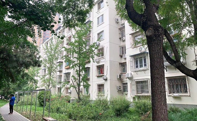 朝阳区 望京西园一区115号楼1单元6层602号（望京西园一区）