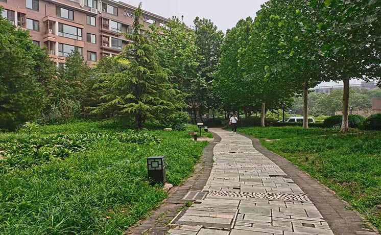 朝阳区 双桥路3号院12号楼9层2单元901室（远洋一方花语苑）