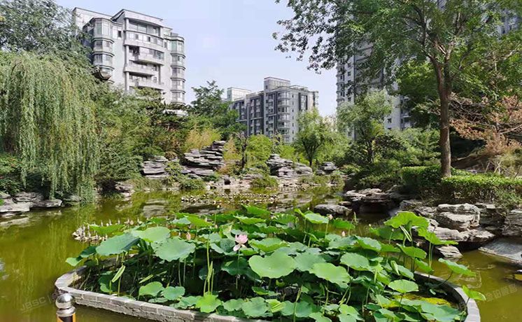 朝阳区 百子湾西里102号楼6层4单元603（金都杭城二期）