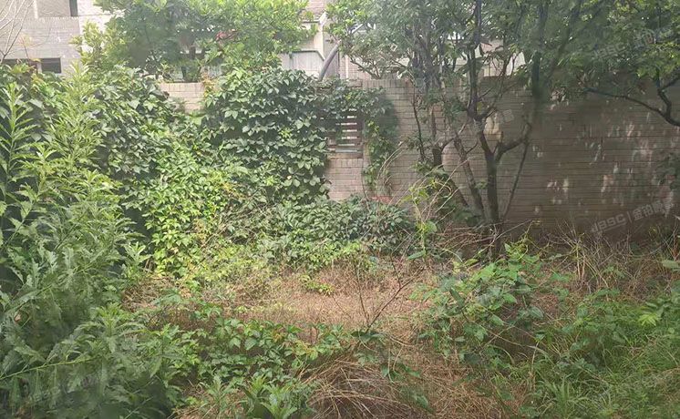 顺义区 后沙峪镇龙之湾嘉园2213-1至3层（龙湾别墅）别墅