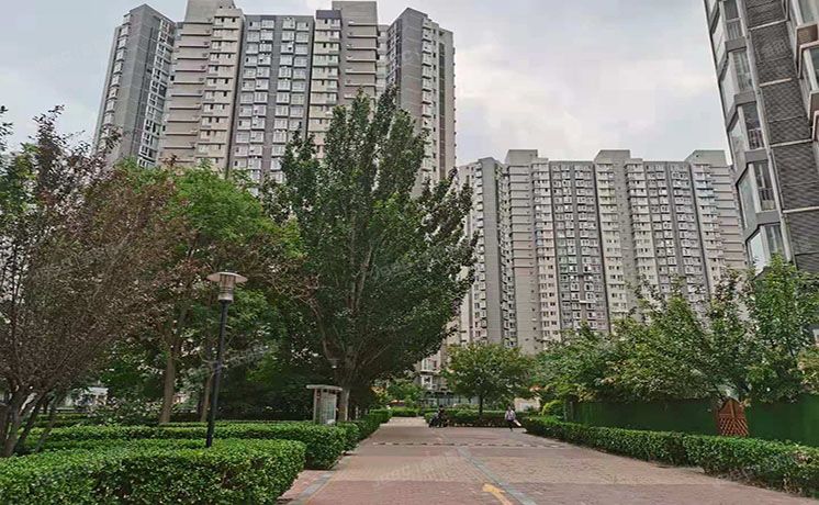 朝阳区 青年路西里3号院6号楼10号楼共计七套（国美第一城）商业