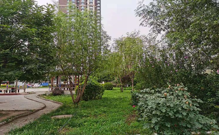 通州区 群芳一园105号楼3至4层3单元303号（久居雅园）复式