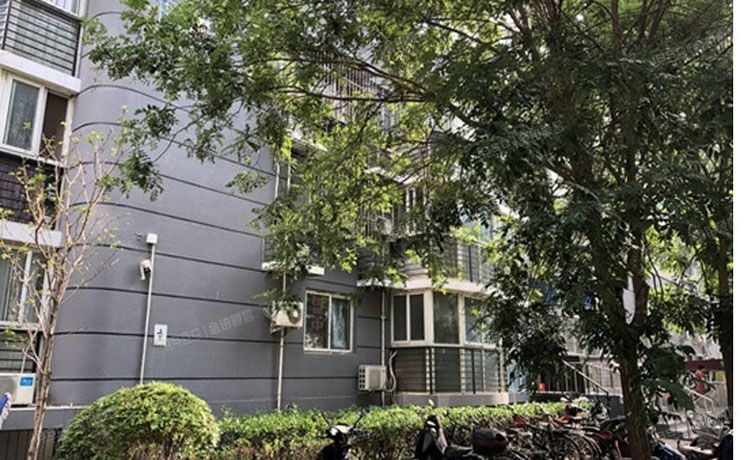 朝阳区 十里堡东里108号楼2层203（中泰雅轩）