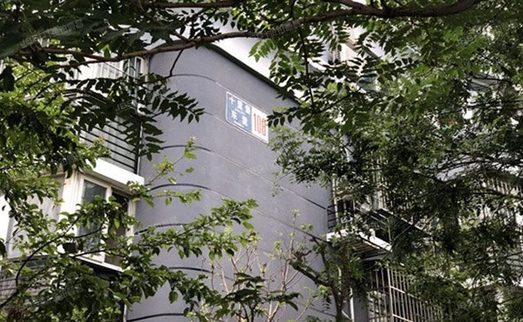 朝阳区 十里堡东里108号楼2层203（中泰雅轩）