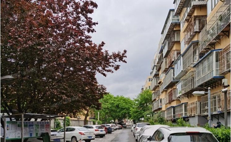 西城区 新街口西里一区7号楼5层1门501房屋及屋内物品（新街口西里一区）