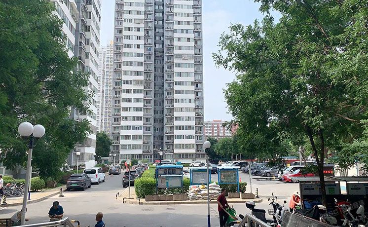 朝阳区 十里堡东里108号楼2层203（中泰雅轩）