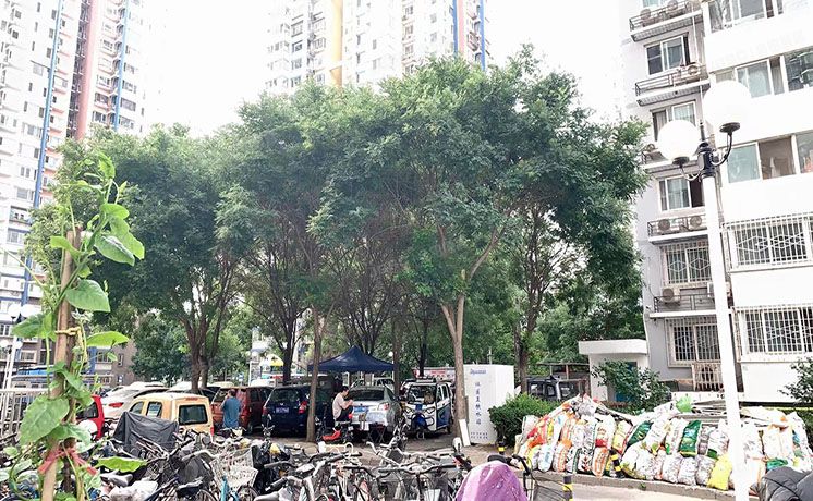 朝阳区 十里堡东里108号楼2层203（中泰雅轩）