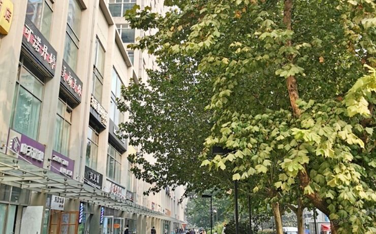 朝阳区 建国路88号院10号楼23层2709（SOHO现代城）