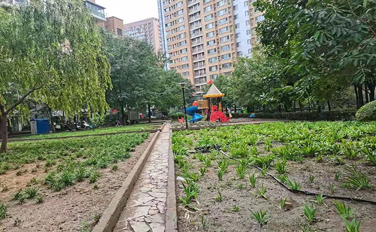 朝阳区 百子湾东里114号楼7层1单元702（沿海赛洛城五期）