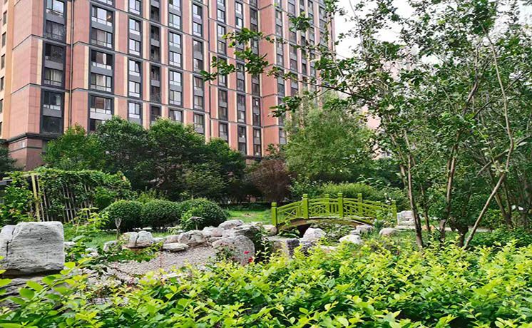 朝阳区 太阳宫火星园3号楼16层1单元1162（火星园）