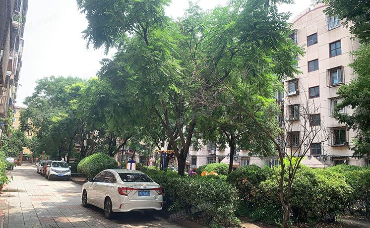 丰台区 建欣苑四里15号楼7单元602（建欣苑四里）