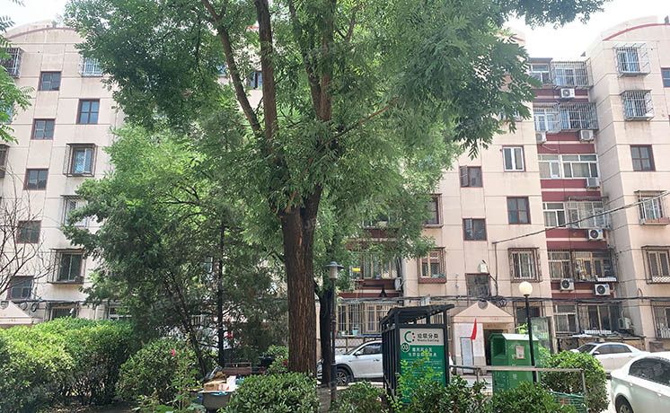 丰台区 建欣苑四里15号楼7单元602（建欣苑四里）