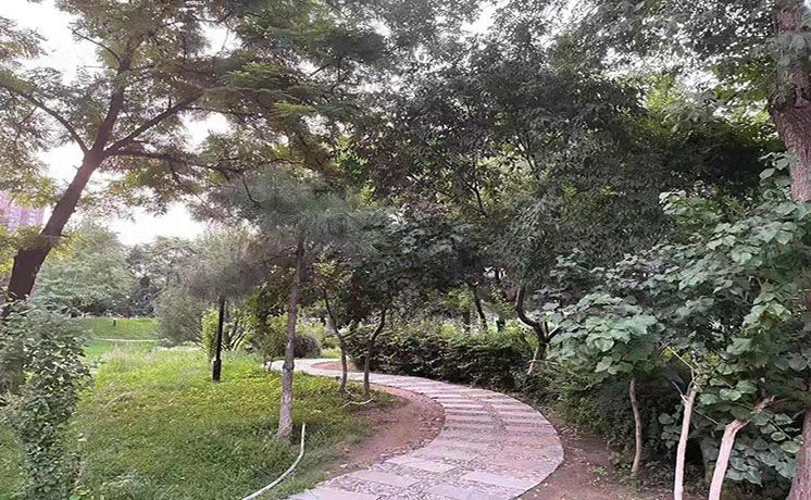 朝阳区 红军营东路18号院3号楼1至2层325号（时代庄园）别墅