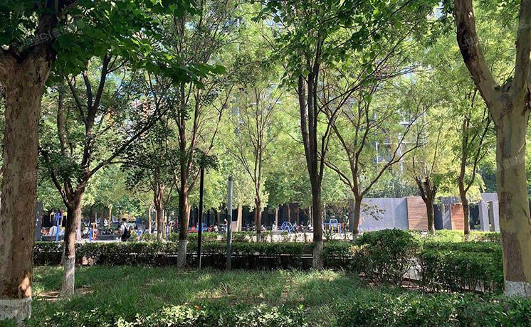 朝阳区 百子湾路16号百子园3号楼11层C单元1102（后现代城A区）