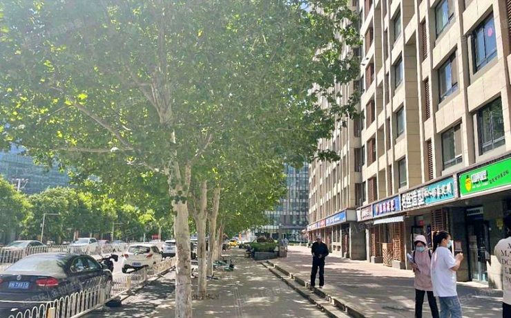 朝阳区 慈云寺北里207号楼1层132（凯德锦绣）