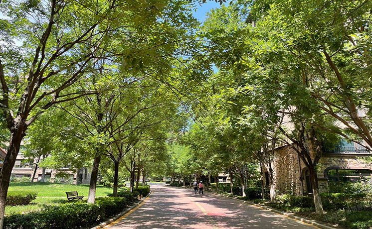 昌平区 天权路2号院20号楼-1至1层1单元102号（金色漫香苑）