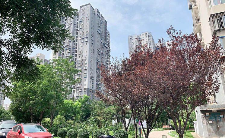 朝阳区 五里桥一街3号院1号楼15层1505（首开畅心园）经适房