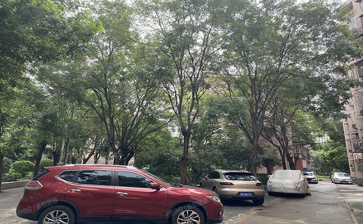 朝阳区 石佛营西里35号楼3层5门505号（石佛营西里）