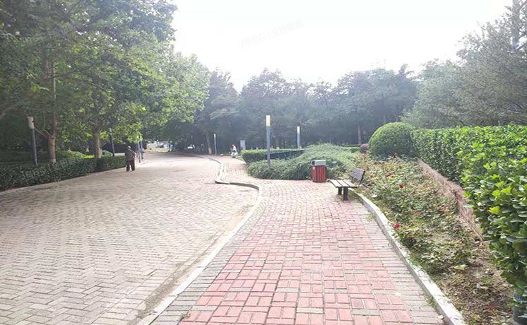 朝阳区 西坝河东里2号院1号楼13层1-1602（UHN国际村）