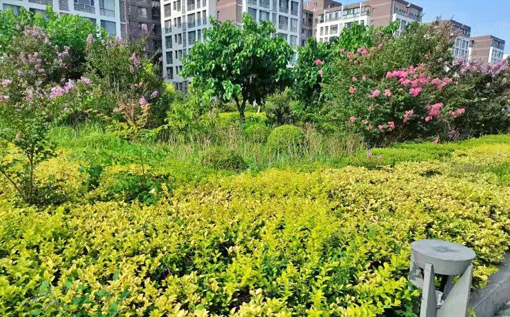 朝阳区 壹线国际惠泽园10号楼1层1单元106号