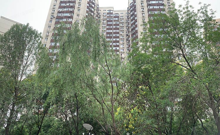 丰台区 芳城园丰台区 芳城园一区12号楼21层甲门2109室（芳城园一区）