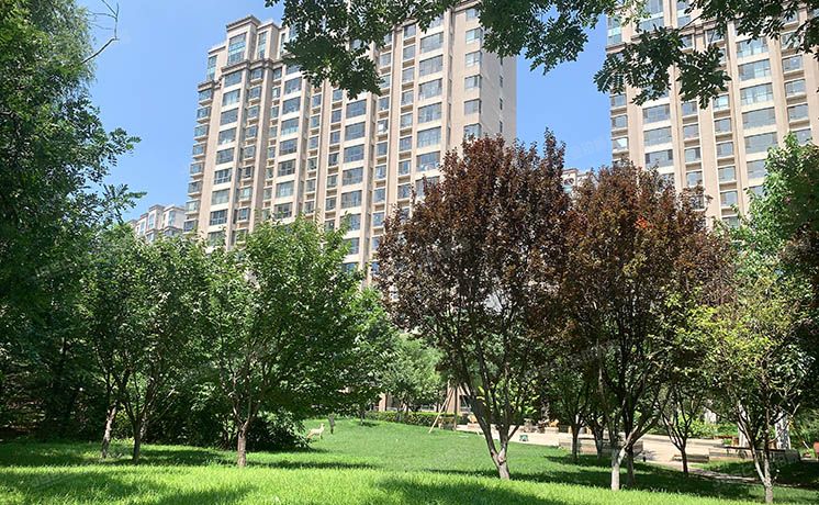 大兴区 鹿华路1号院15号楼17层1单元2001（中信新城西区）