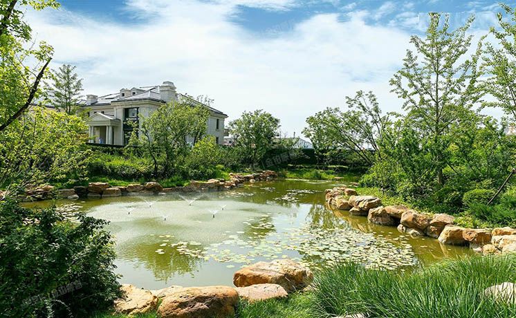 朝阳区 水岸庄园453号楼-1至2层（润泽御府）独栋别墅