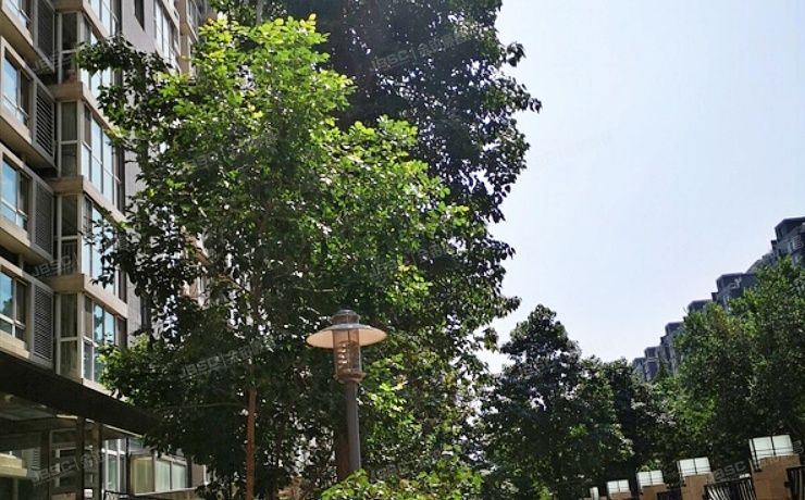 通州区 杨庄南里66号楼14层3单元1402（长城国际）