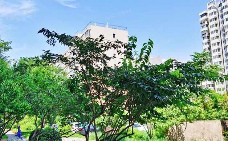 丰台区 石榴庄南里66号院6号楼2层3单元202（世华水岸F区）