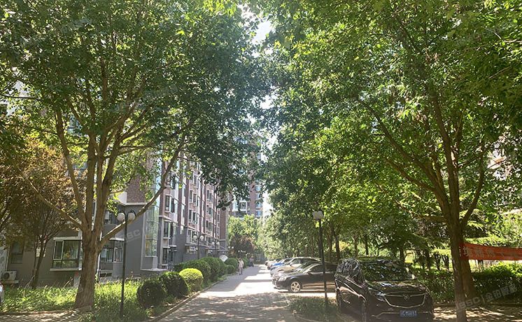 丰台区 城南嘉园益星园3号楼1单元602号（城南嘉园益星园）