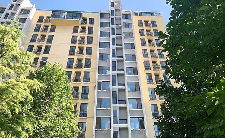 朝阳区 望京东园204号楼10层一单元1003（慧谷阳光二期）