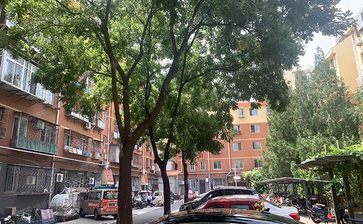 西城区 马连道中里二区3号楼5层①-5-503（马连道中里）