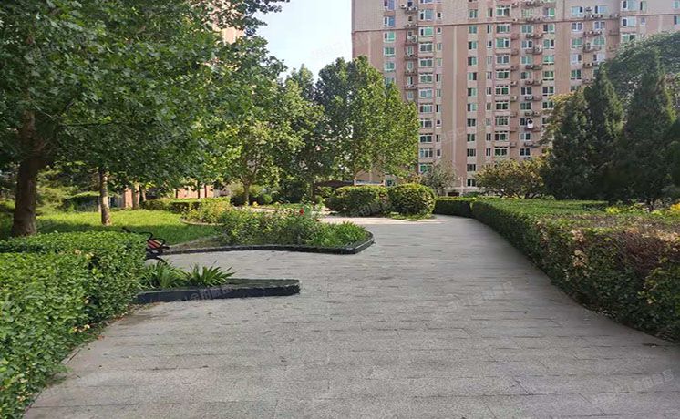 海淀区 远大园三区6号楼三单元十层11A（远大园三区）