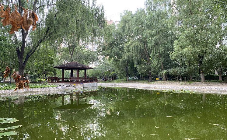 朝阳区 天之骄子4号楼11层1单元1101号