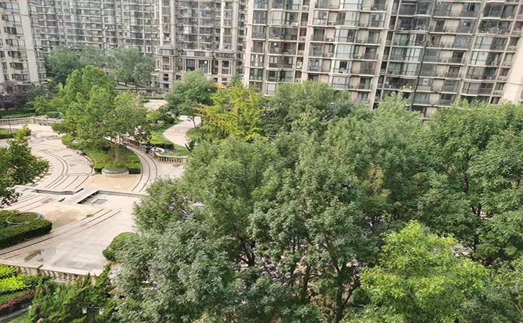 朝阳区 广渠路28号221号楼7层1单元801（珠江帝景B区）